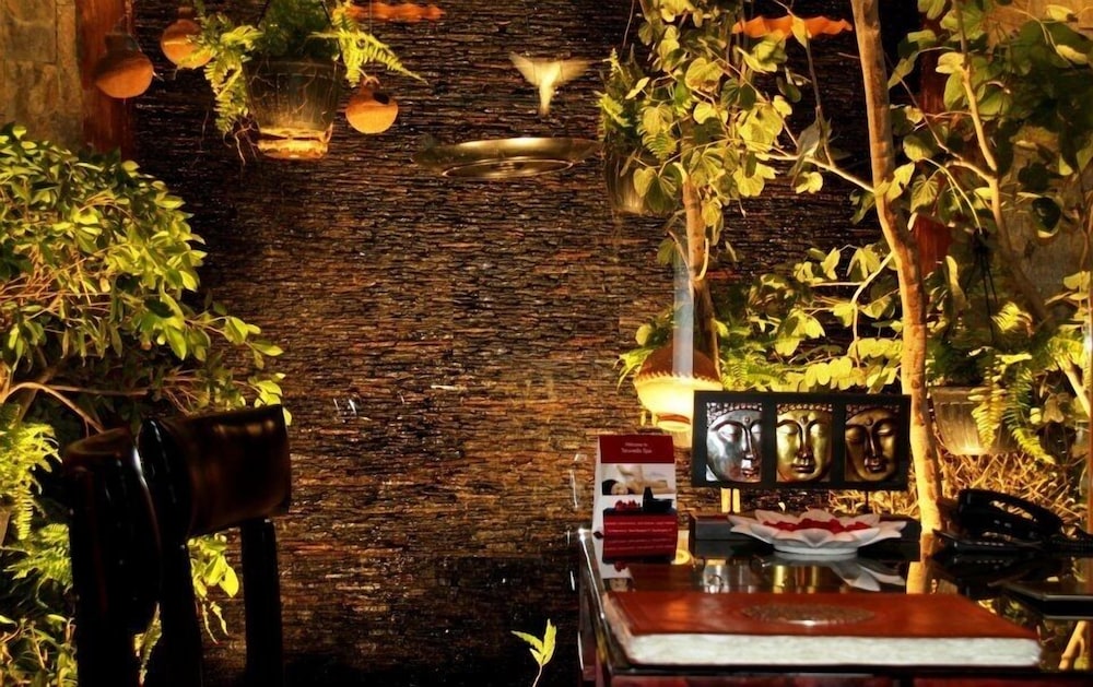 The Tree House Resort 24/35