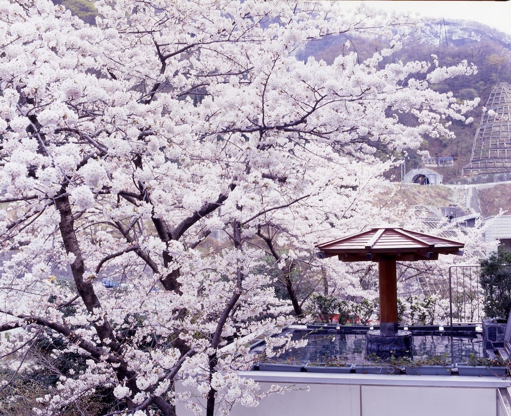Hotel Kurobe 50/50