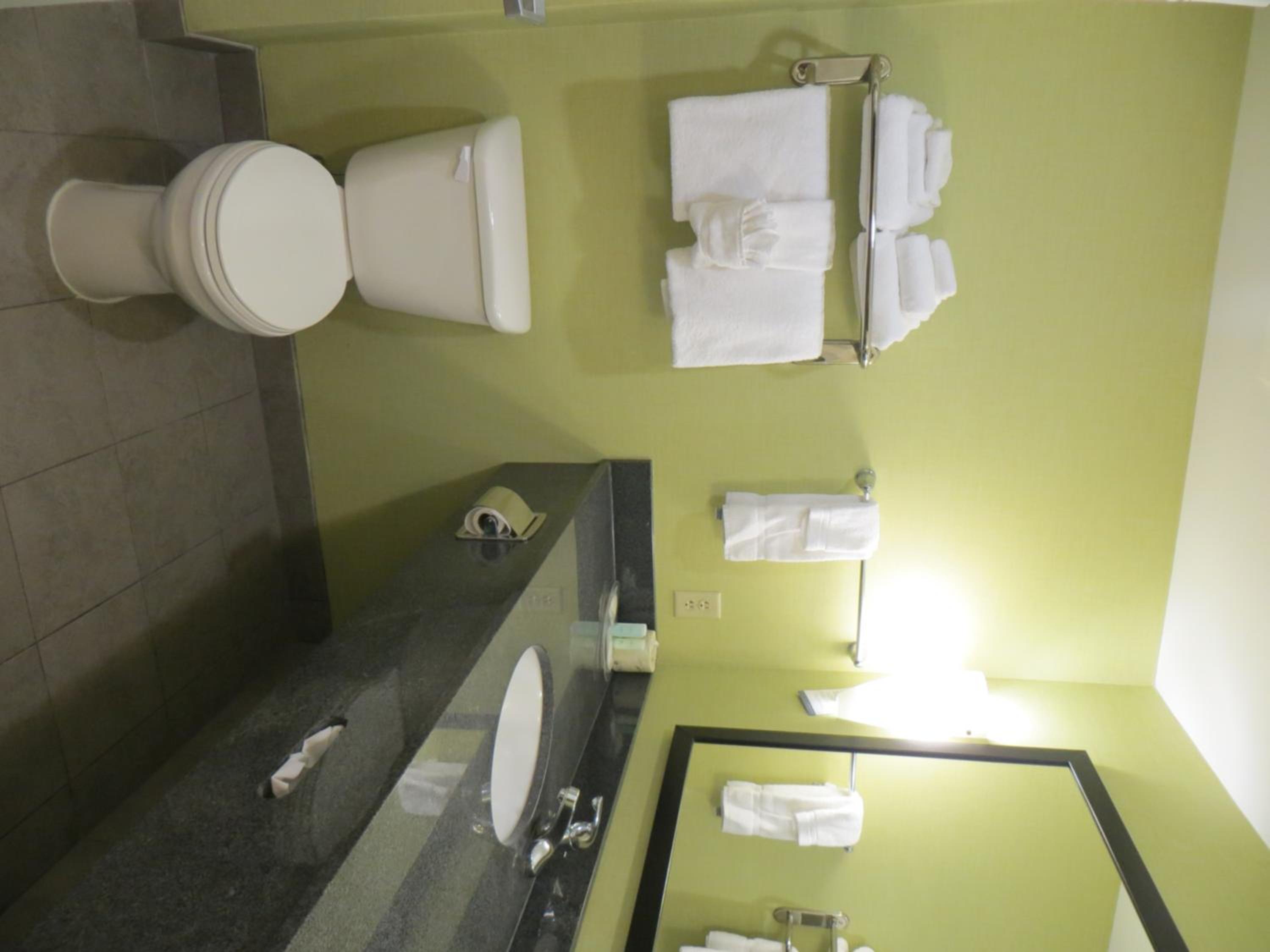 غرفة بسرير كينج بإطلالة، Comfort Suites Knoxville East 3/3