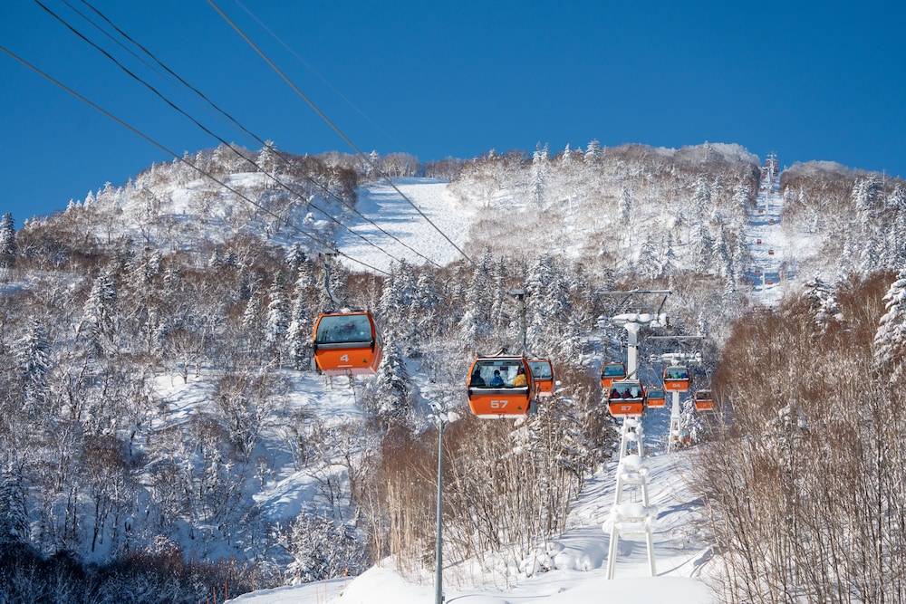 OMO3 Sapporo Susukino by Hoshino Resorts 44/47