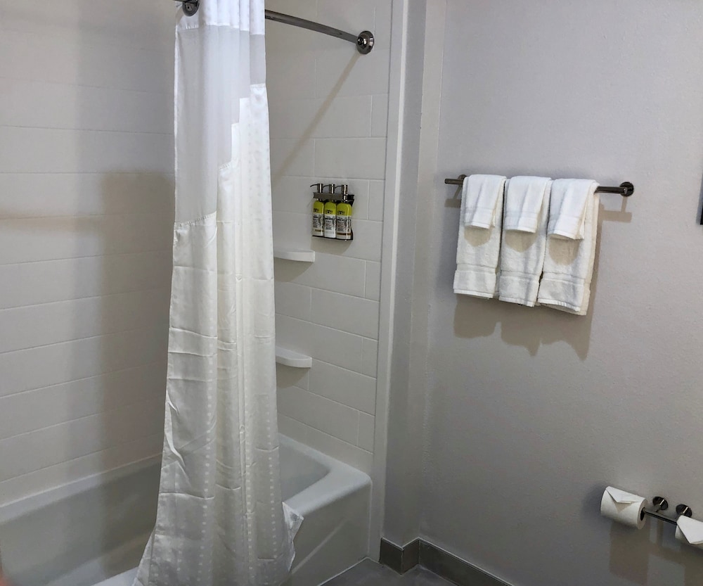 Holiday Inn Express and Suites Houston Westchase - Westheimer 28/59