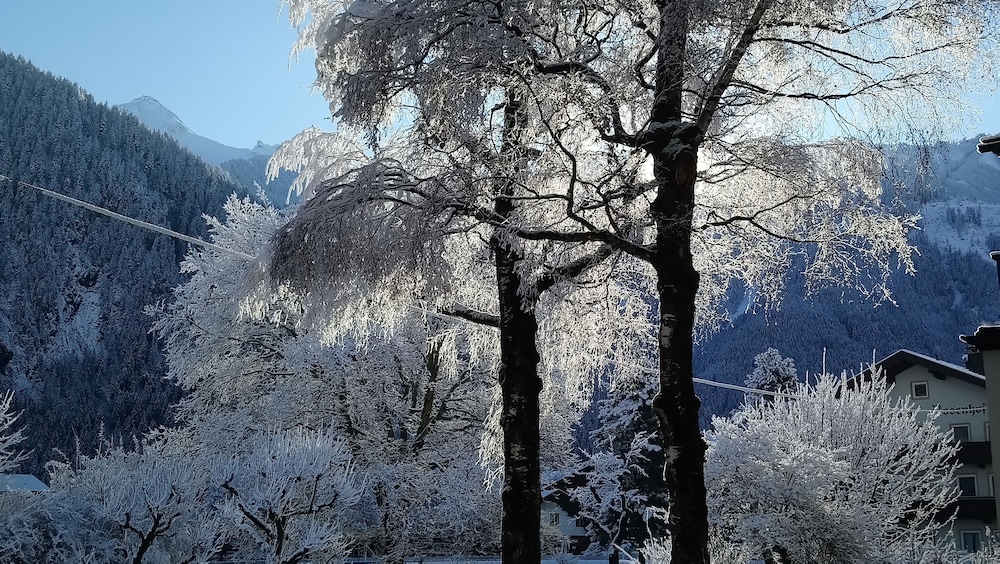 Pension Birkenhof 43/50