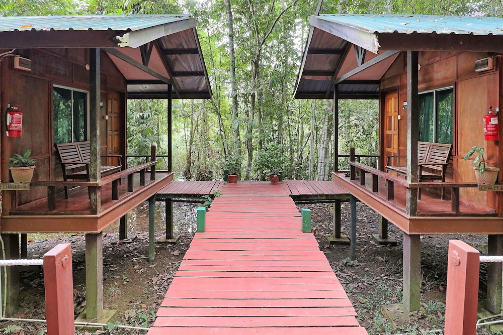 Nature Lodge Kinabatangan Sandakan 18/21