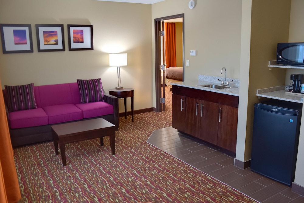 Comfort Inn & Suites Artesia, NM 30/40
