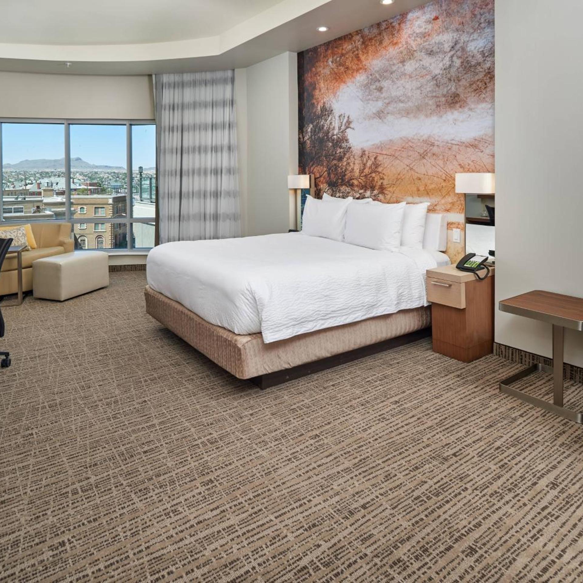 Room, King Bed, Stadium View, Sofa, Large