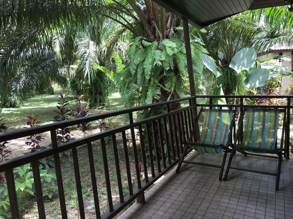 Khao Sok Palm Garden Resort 3/18