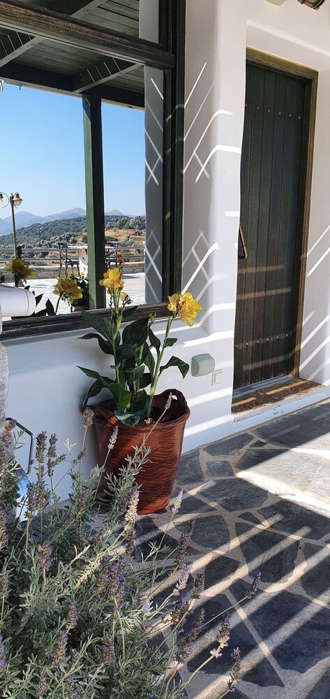 Elaiolithos Luxury Retreat Naxos 11/24