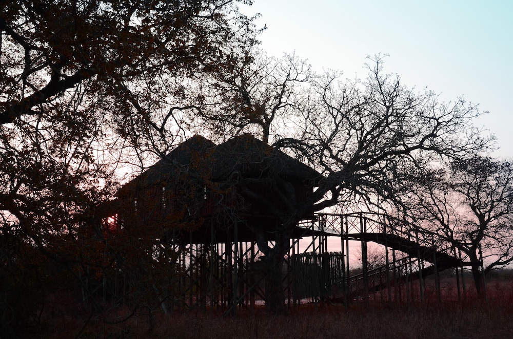 Pezulu Tree House Lodge 35/50