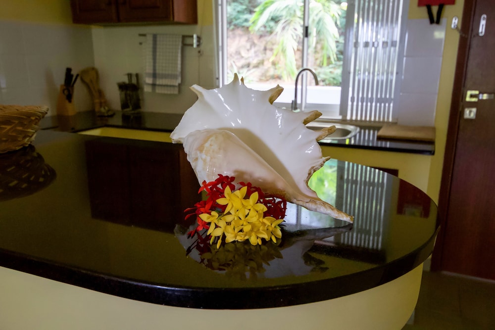 SURFERS SELF CATERING CHALETS 12/31