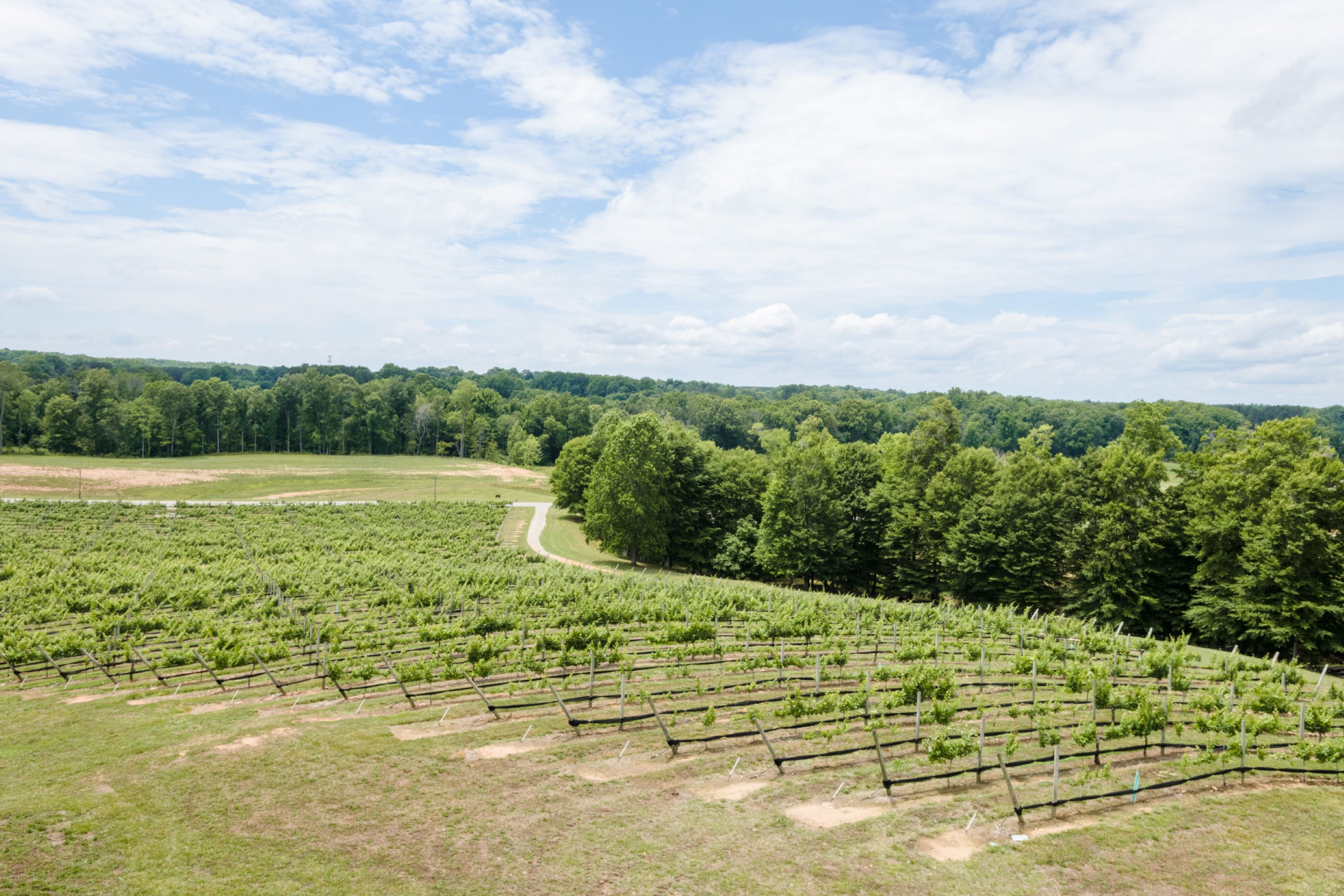 Holiday Inn Express Hotel Suites Lexington Nw the Vineyard 46/50