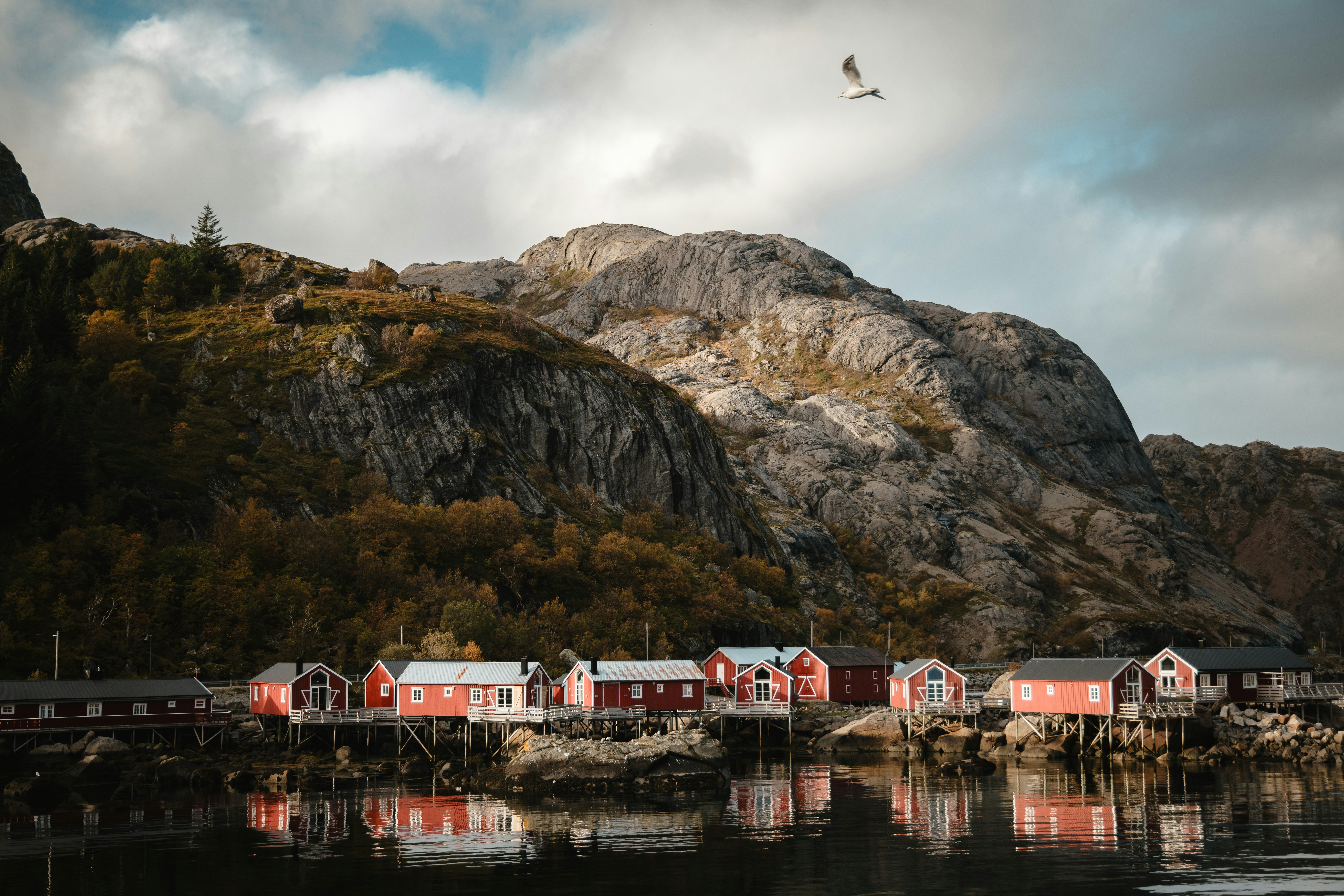 Nusfjord Arctic Resort 14/31