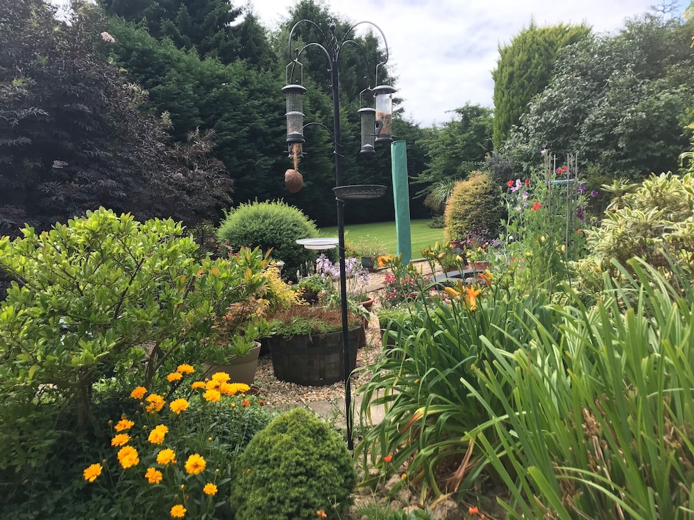 Beechwood B&amp;B 27/32