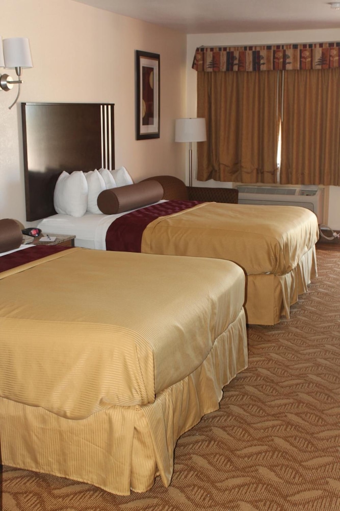 Texas Inn & Suites Raymondville 19/55