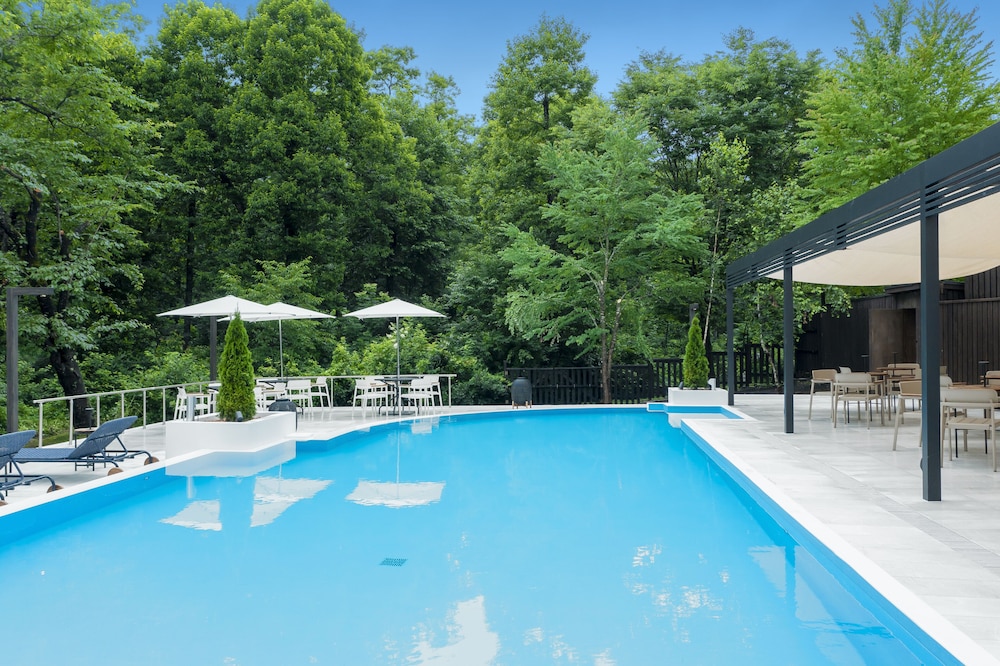 Hotel Sierra Resort Hakuba 45/70