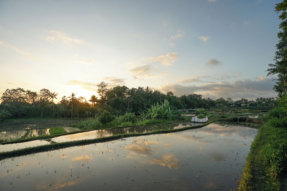 Ubud Art Resort (ex Uma D Mas Villa) 35/48