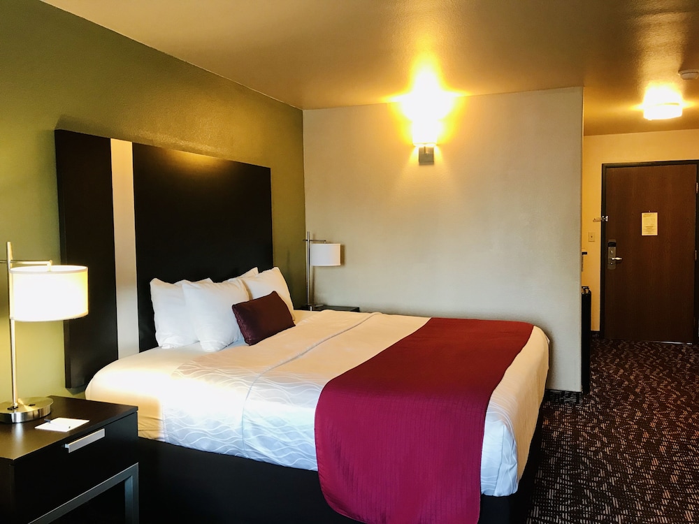 Best Western Plus The Woodlands 5/31