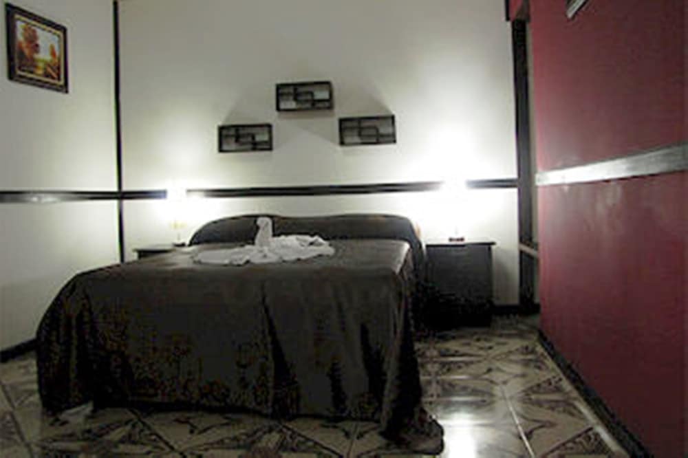 Ara Ambigua Lodge 32/50