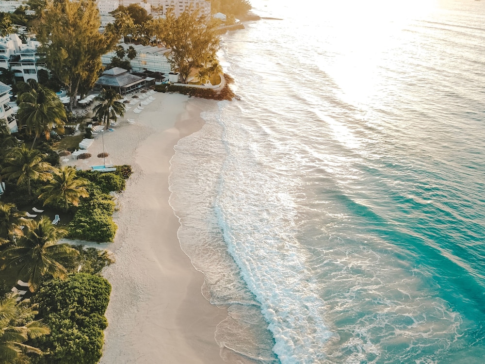Bougainvillea Barbados 54/61