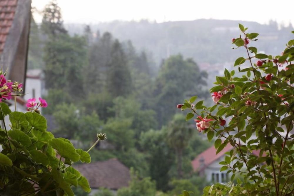 Sapa Local House 45/50