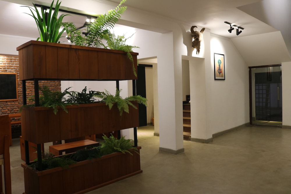 Fern Colombo 7/28