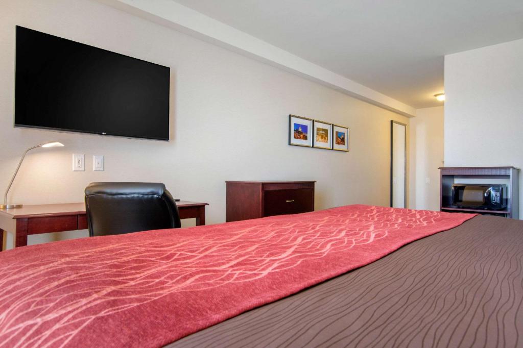 Room, King Bed, Accessible