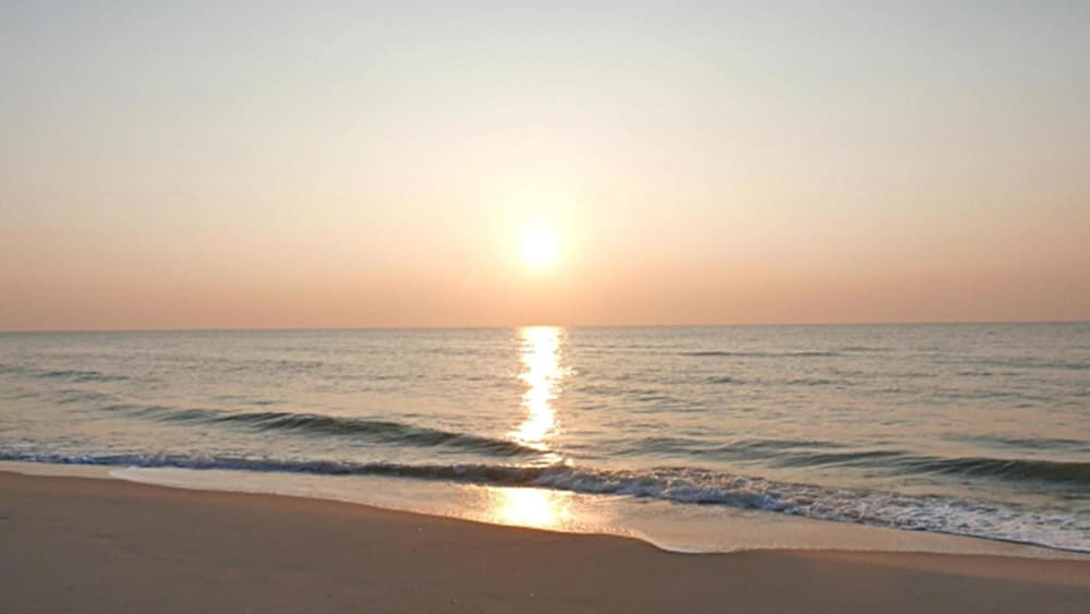 Hung Do Beach Homestay 35/50