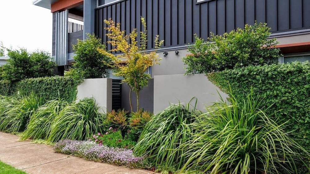 Laguna Apartments 64/67