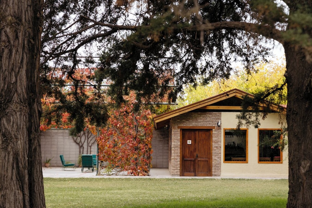 Lujan de Cuyo Bed and Breakfast 38/50
