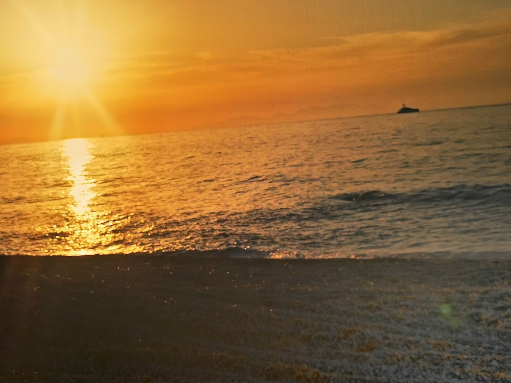 Mare Nostrum Santo 46/50