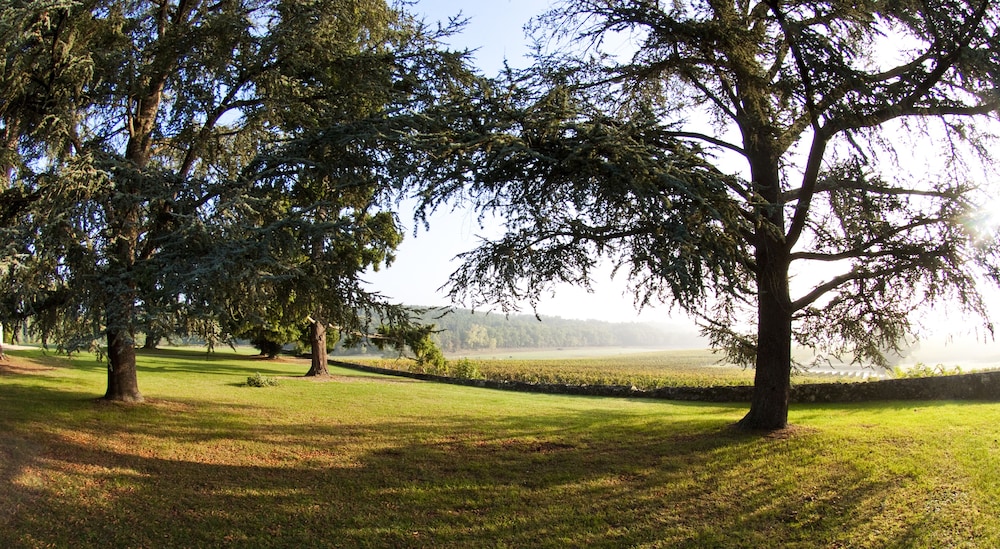 Les Secrets Chateau Pey La Tour 49/54