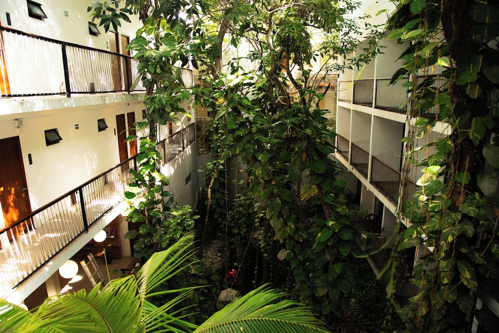Hotel Blanco Tulum - Adults Only 47/50