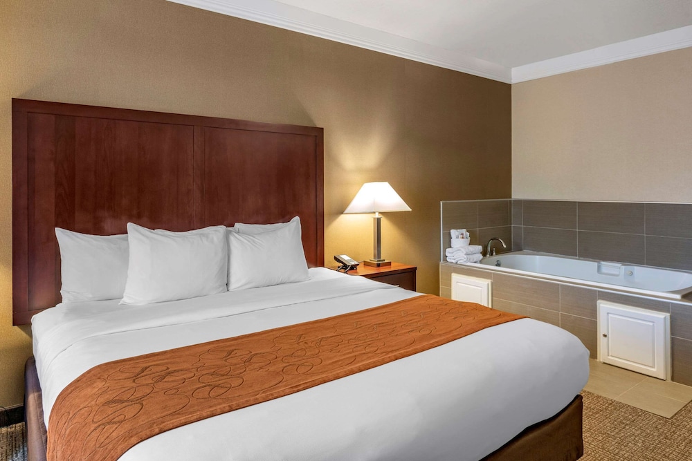 Comfort Suites Linn County Fairground And Expo 4/38