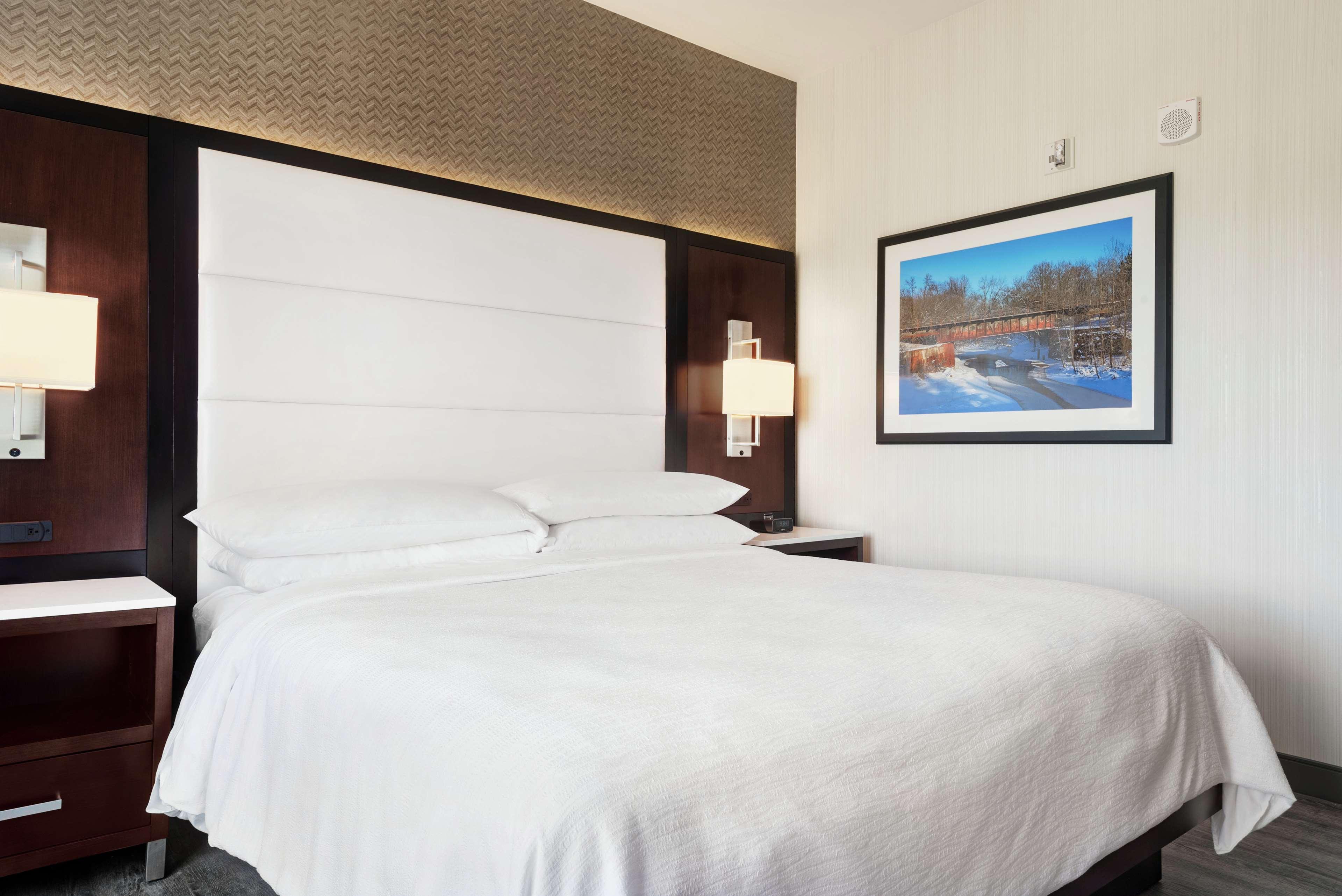 1 Bedroom, King Bed, Accessible