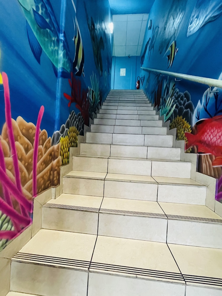 Mahana Lodge Hostel & Backpacker 64/69