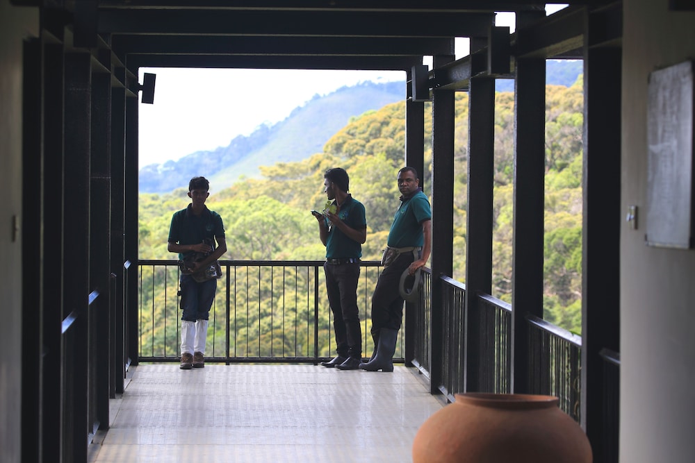 Rainforest Eco Lodge 15/41