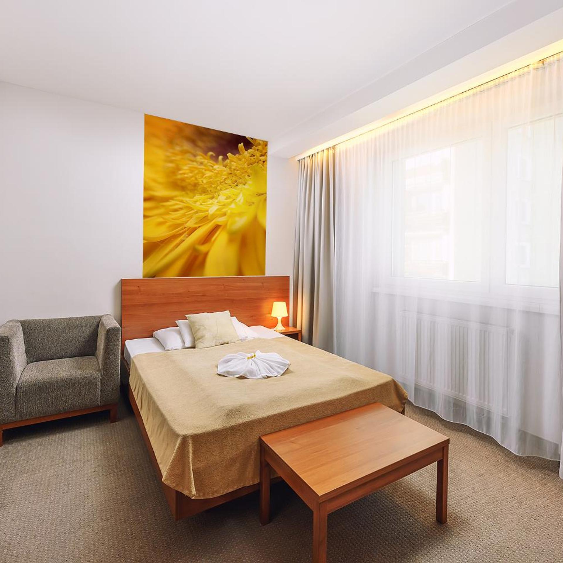 Room, Single, Hotel Janosik 3/3