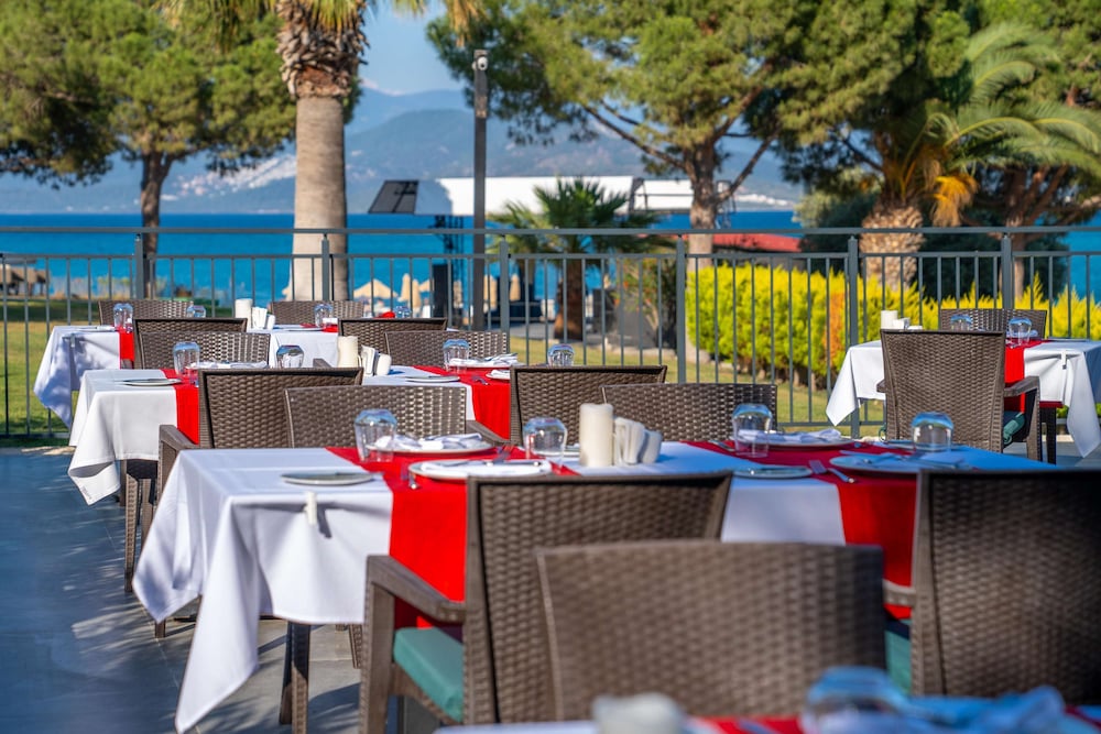 Duja Didim 50/64