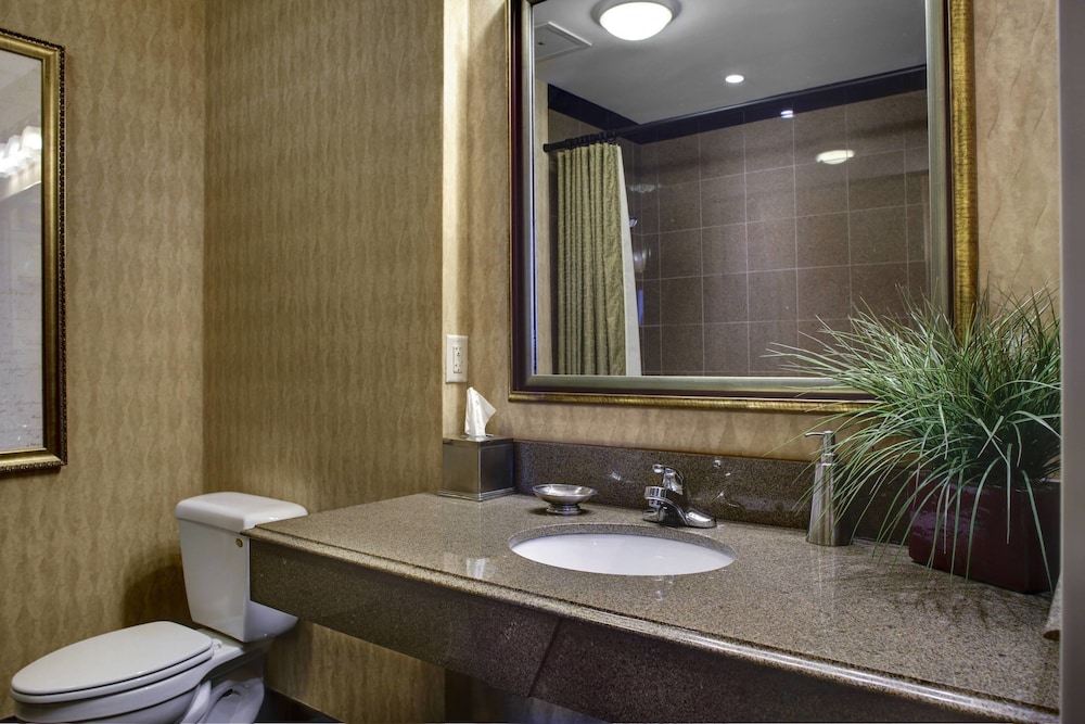 Lobby at Springhill Suites By Marriott Memphis Downtown, MEMPHIS - TN