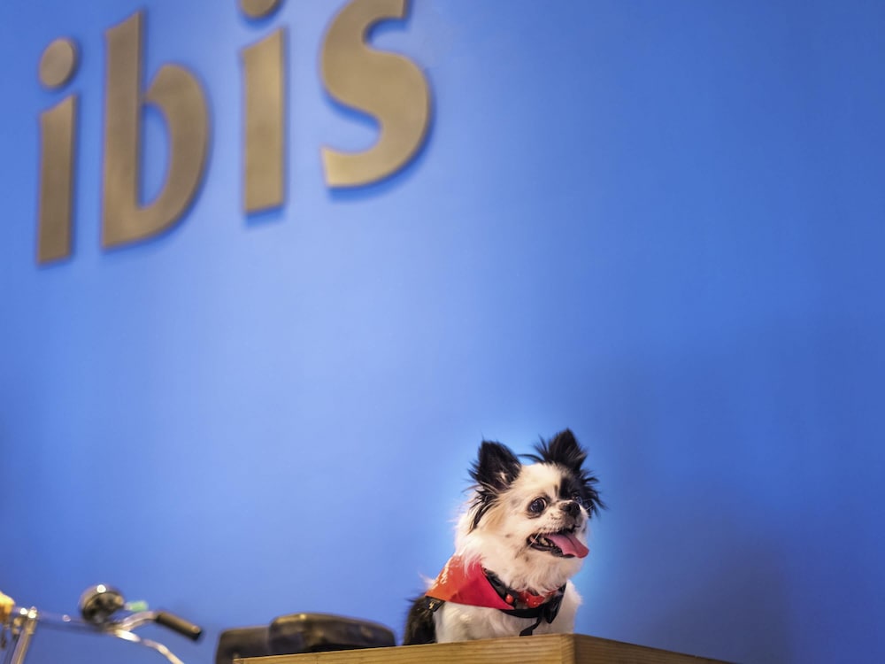 Ibis Pune Viman Nagar 65/68