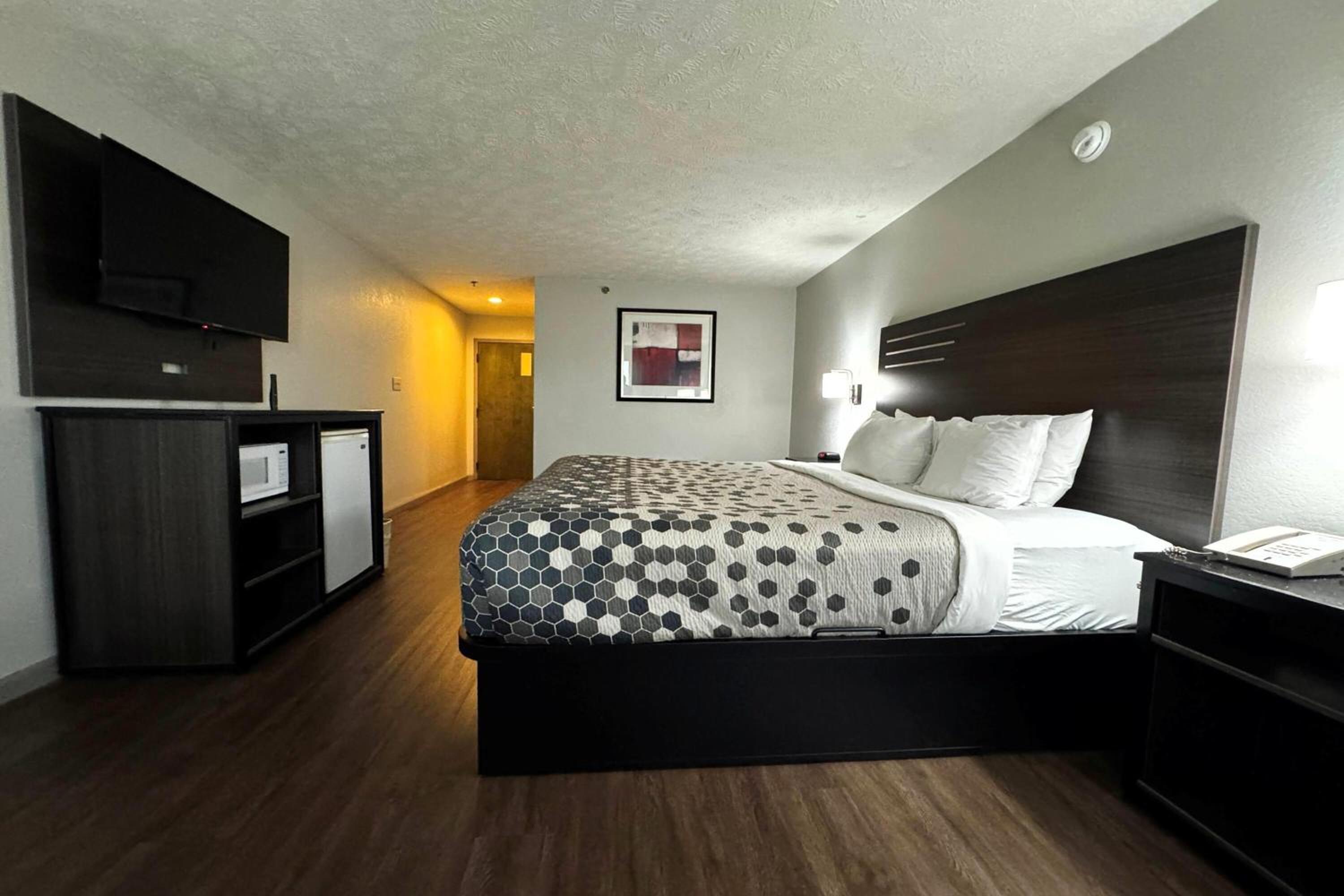 Room, King Bed, Bathtub, Smoking, Accessible