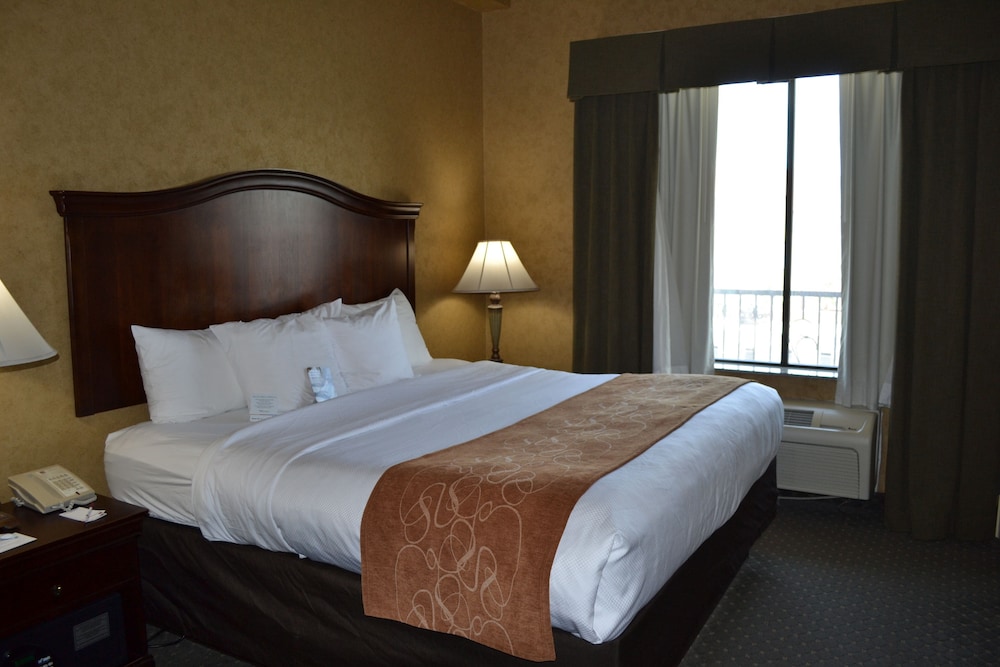 Comfort Suites Alamo Riverwalk 9/35
