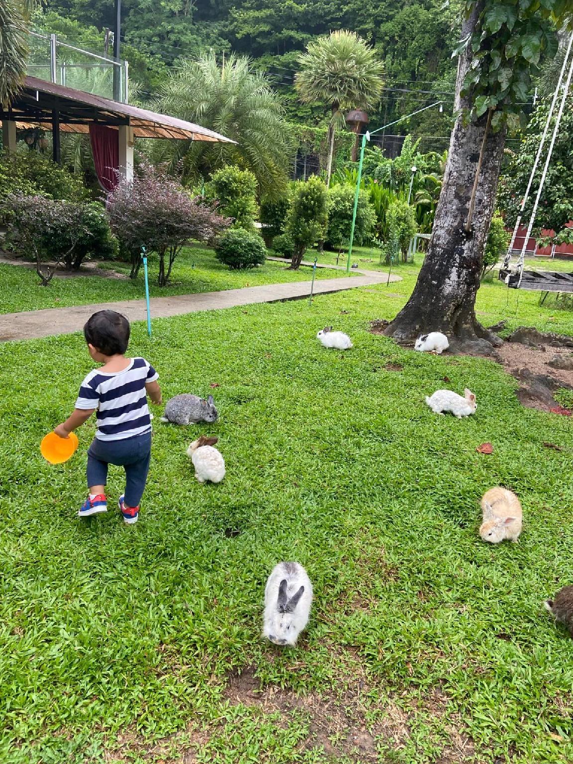 V Valley Resort 32/55