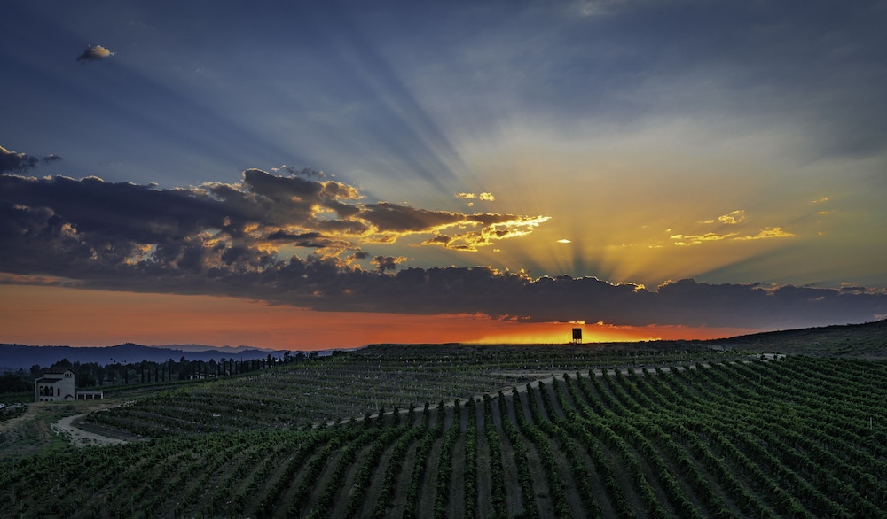 Europa Village Wineries and Resort 38/50