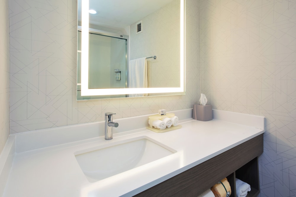 غرفة قياسية بسرير كينج، Holiday Inn Express Hotel And Suites Dover 2/2