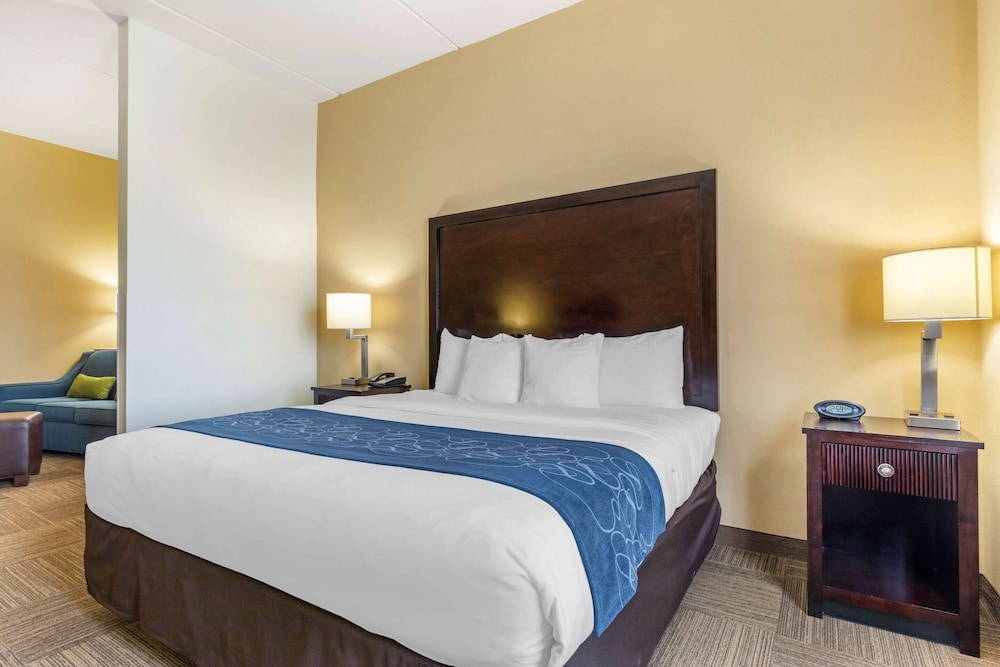 Comfort Suites Frisco 7/39