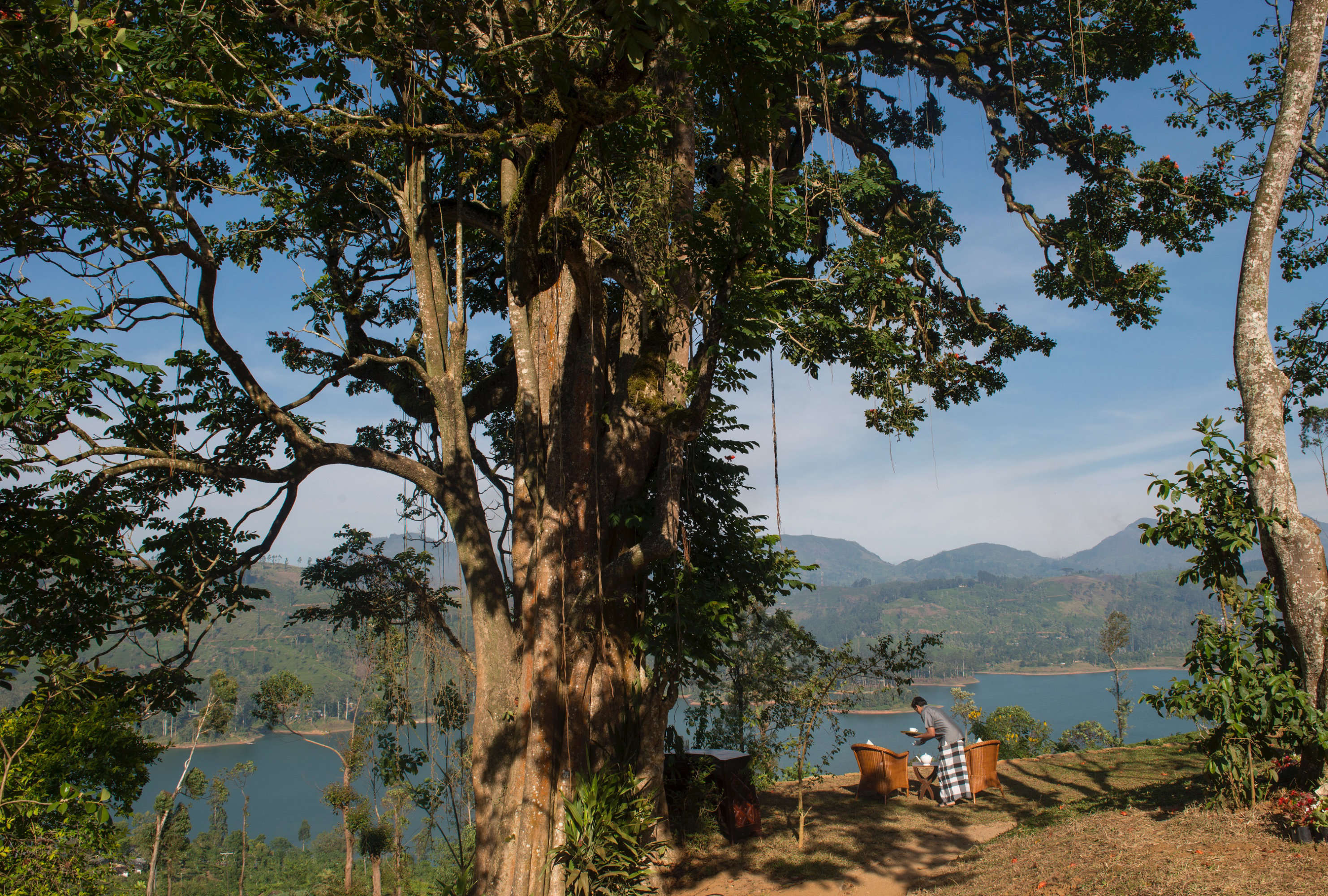 Tea Trails 22/43