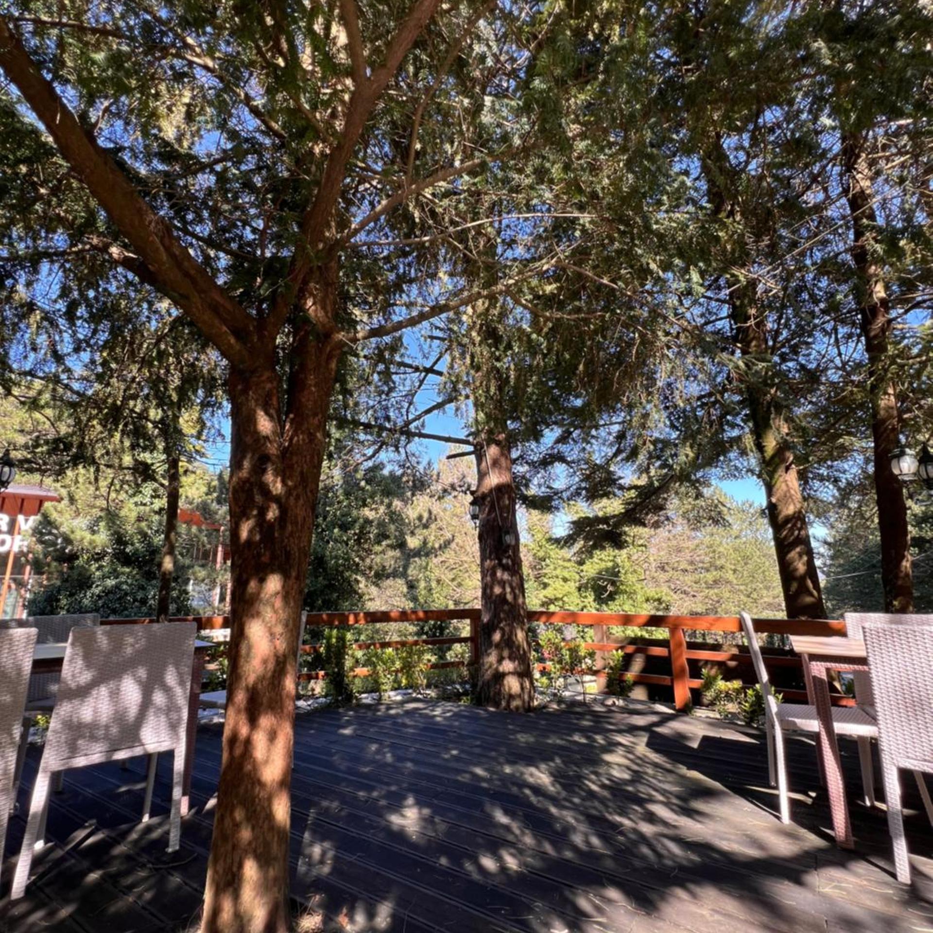Alpin Llogara Hotel 38/55