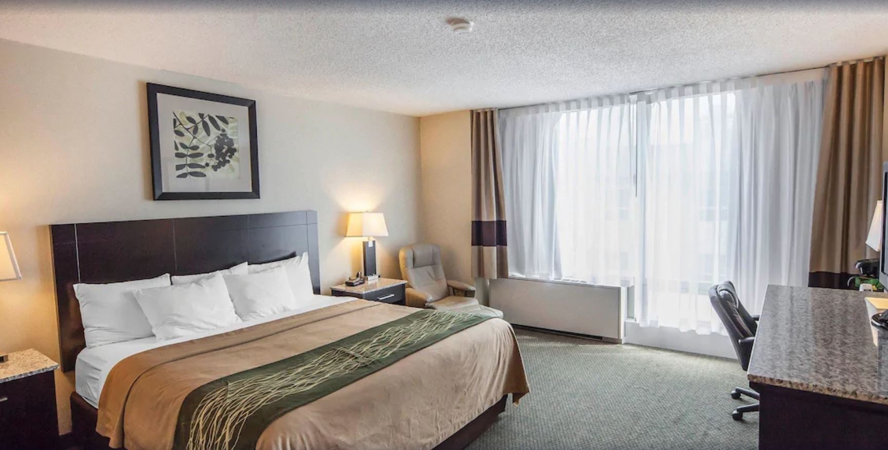 BUSINESS, SUITE, KING BED