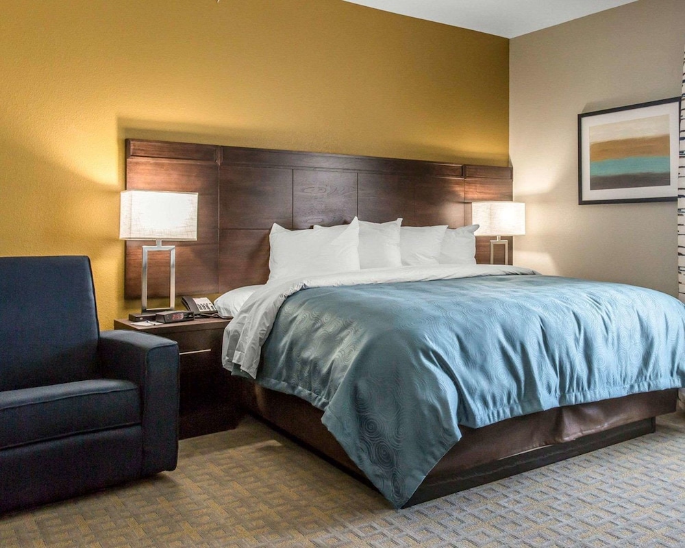 SUITE, KING BED