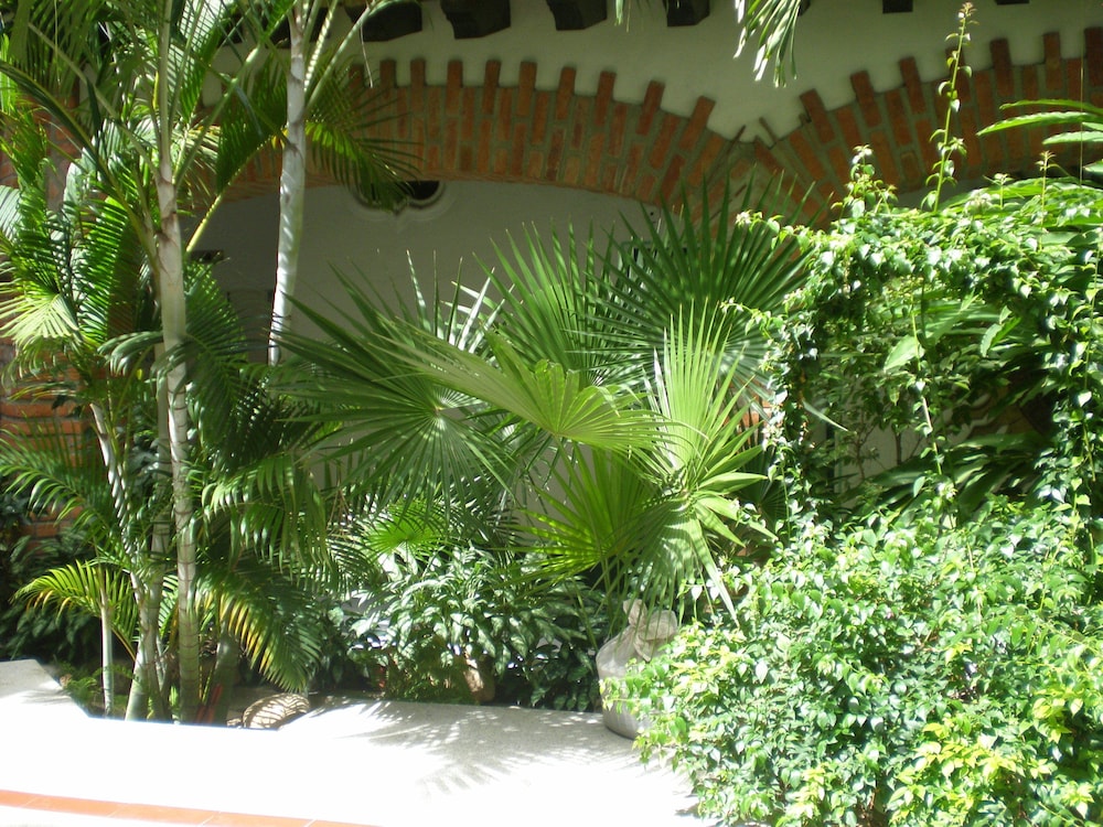 Hotel Encino Centro Puerto Vallarta Ex Encino 43/50